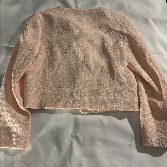 Zara Blush Tweed Jacket with Gold Accents - Picture 8 of 15